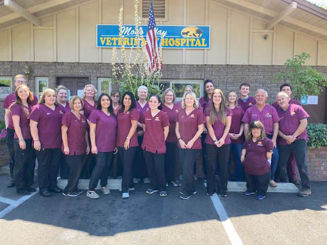 Our Staff | Mono Way Veterinary Hospital